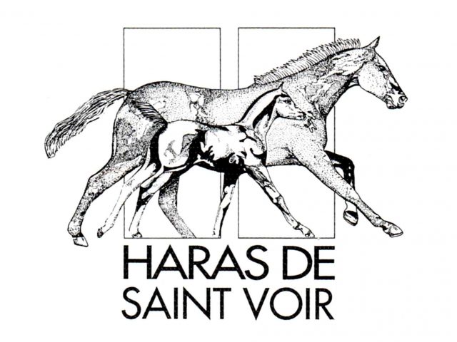 Haras de Saint Voir